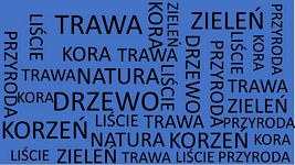 7c Ziętek Kacper